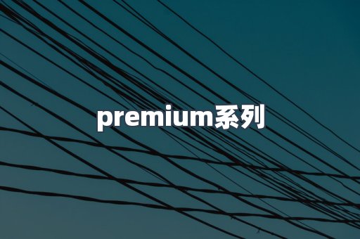 premium系列